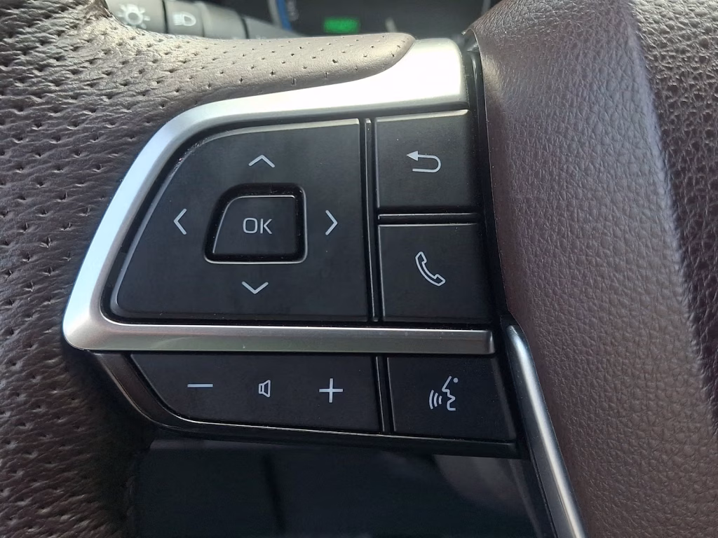 2024 Toyota Sienna Platinum AWD/4WD
